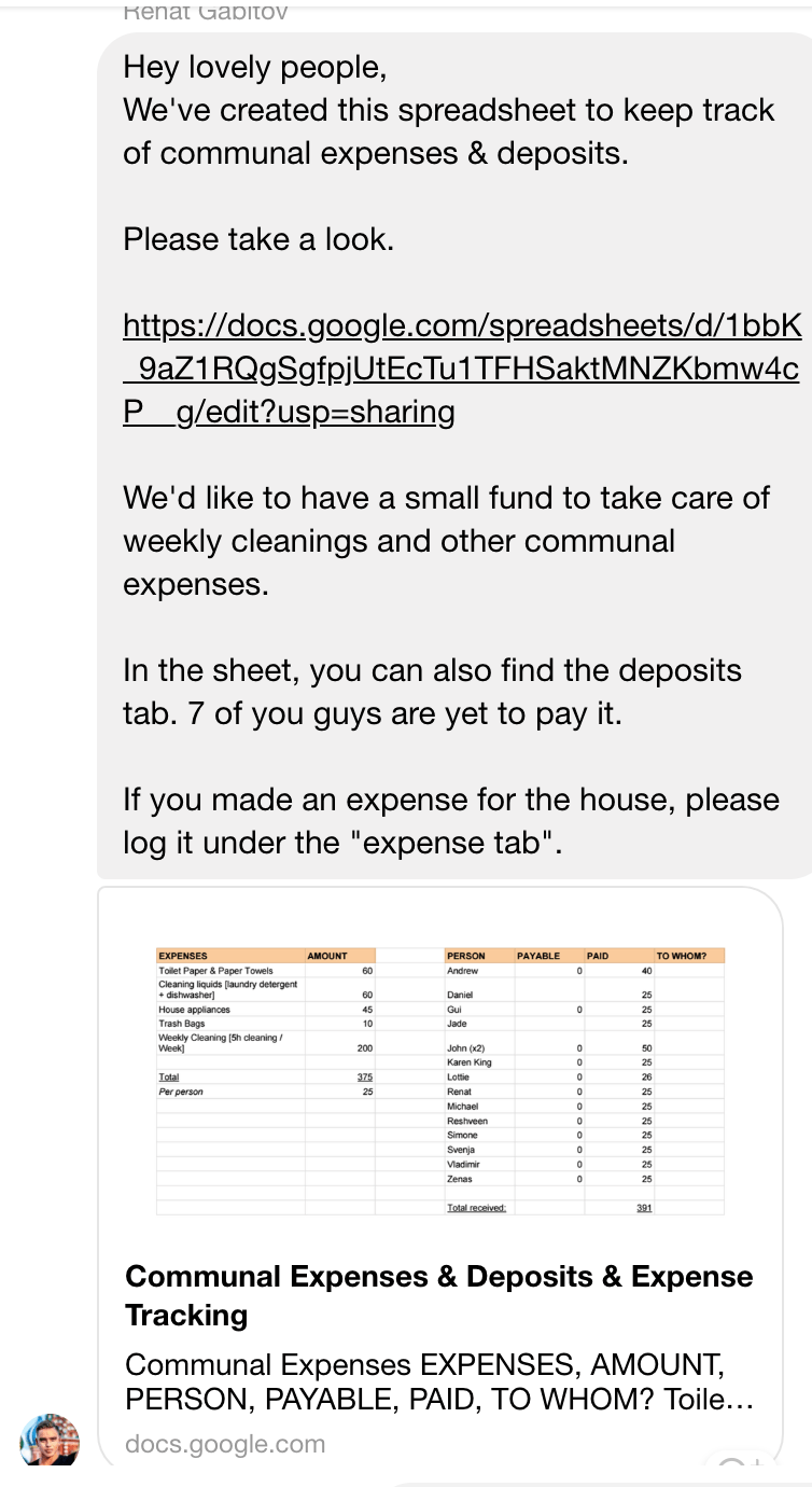 The collaborative budget spreadsheet shared in the chat
